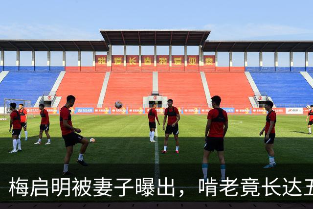 梅启明被妻子曝出，啃老竟长达五十年，还逼17岁儿子停学打工