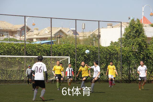 6t体育公司环境